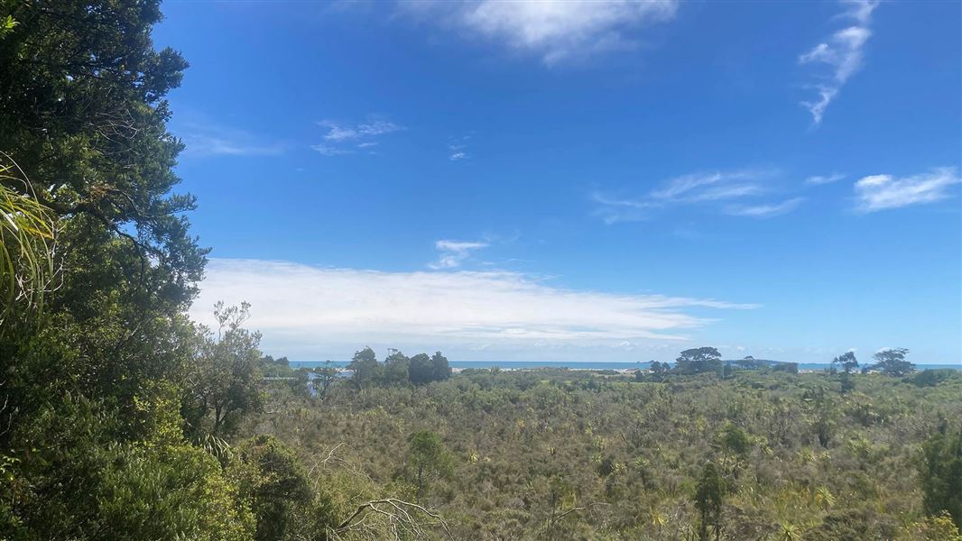 Hapuka Estuary Walk