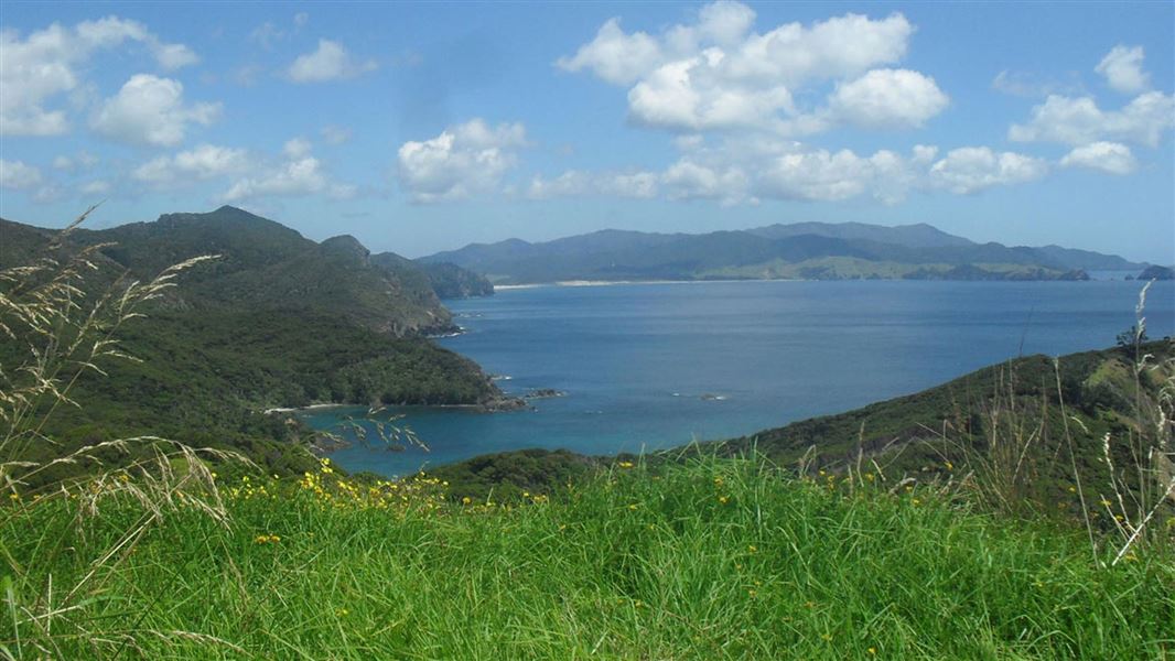 Harataonga Loop Track, walk in Auckland