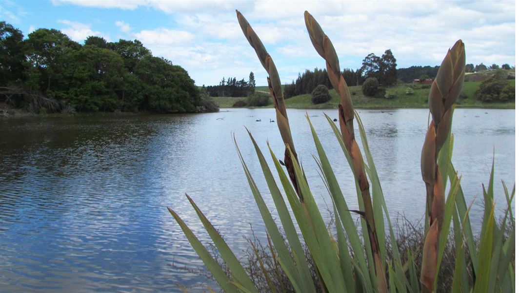 Hawksbury lagoon and beach walk
