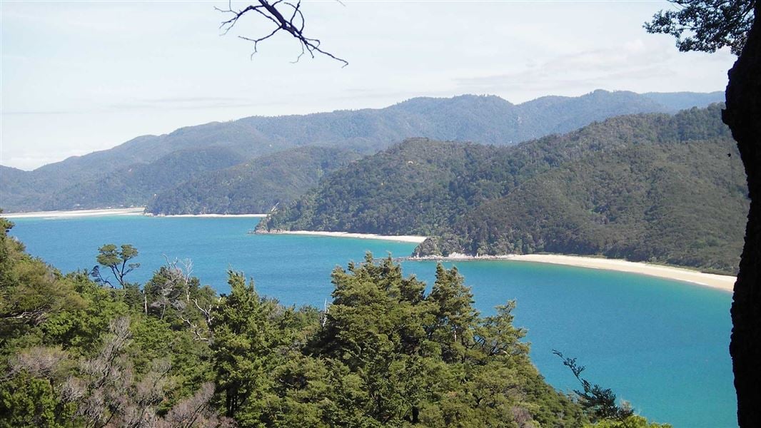Headlands Track