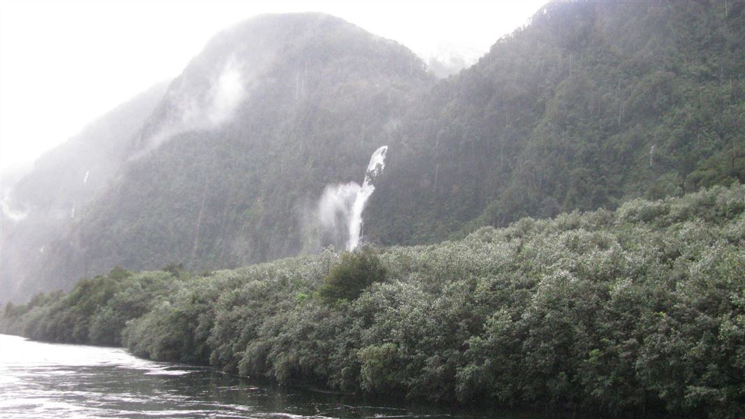 Helena Falls Track