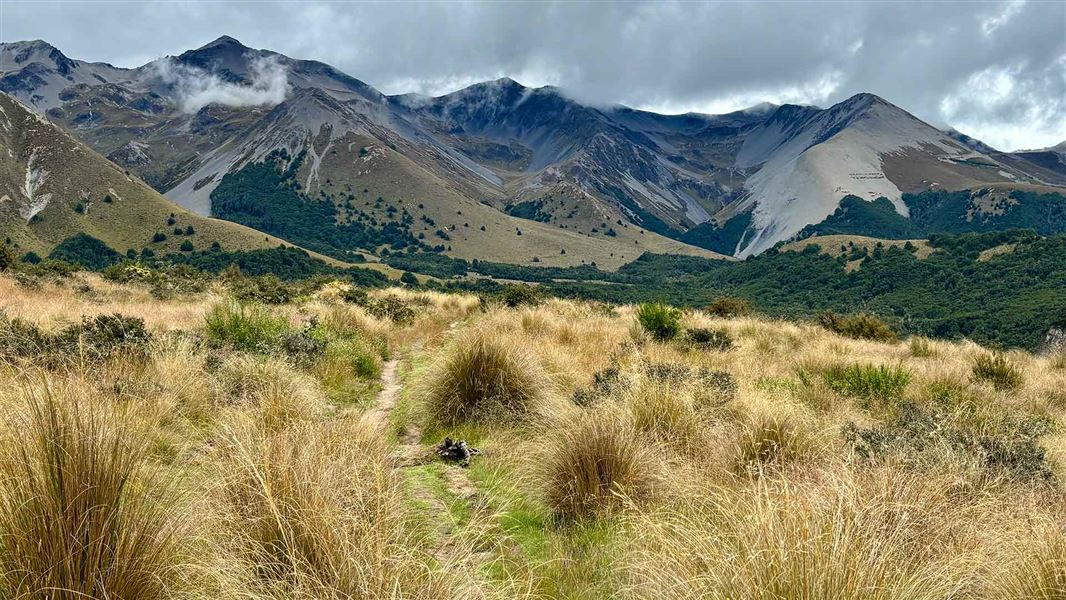 Hogs Back Track (Easy Up Track and Descent Track)