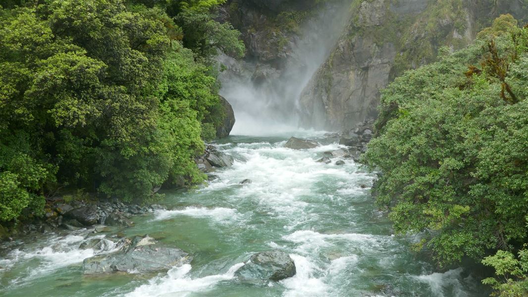 Hollyford Track: Hidden Falls Track