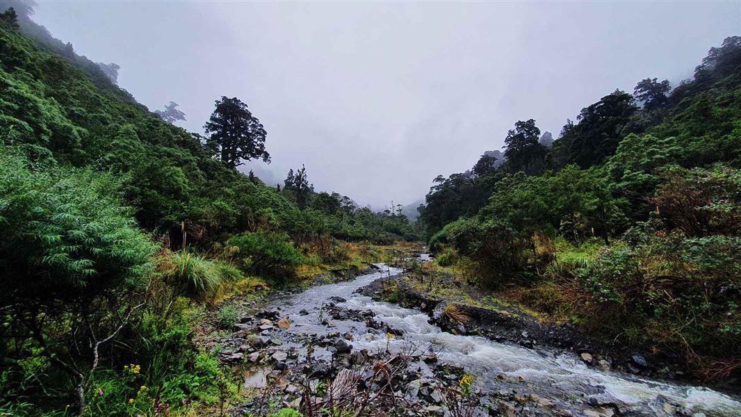 Homes Ridge Track