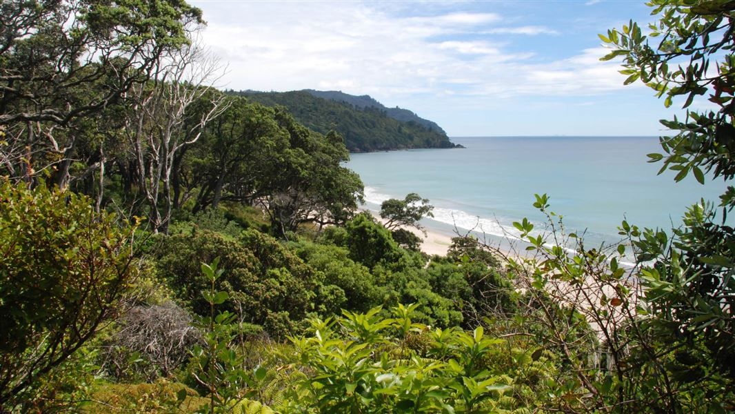 Homunga Bay Track