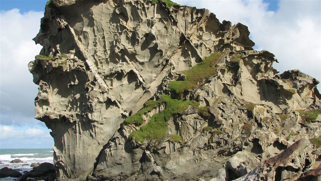 Honeycomb Rock Walkway, walk in Wellington