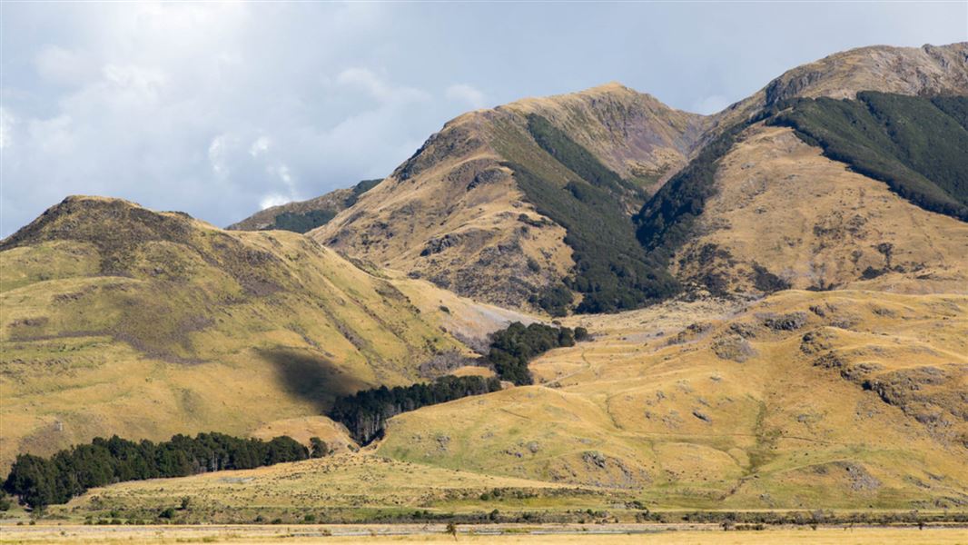 Hope Pass Track