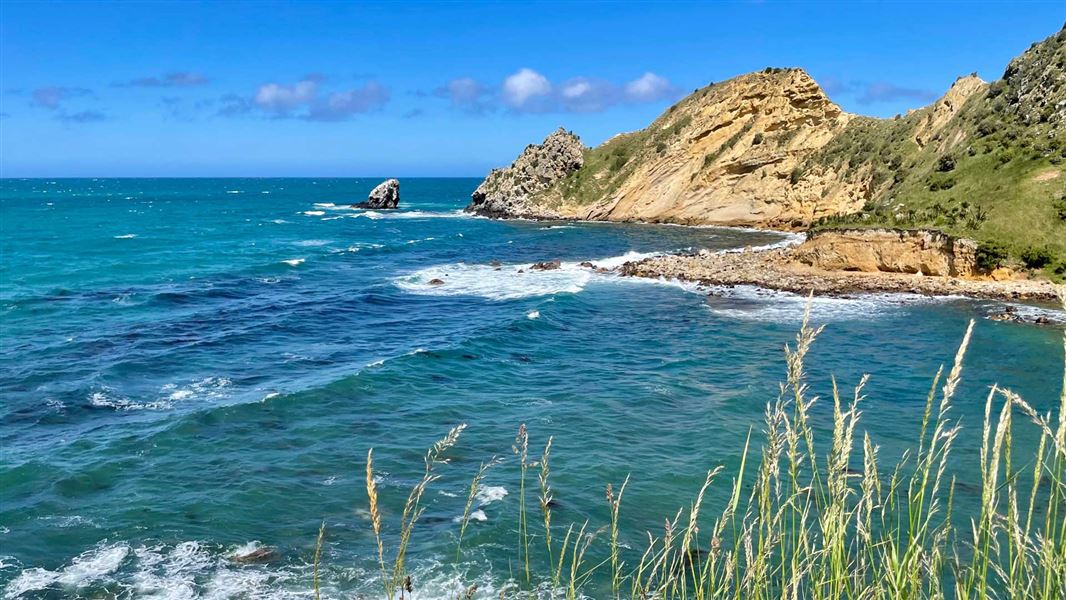 Huriawa Pā Walk, walk in Otago