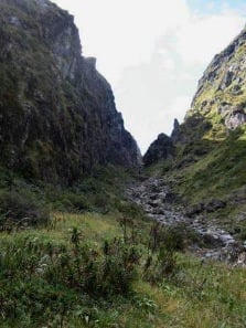 Hut Creek Track, walk in Southland