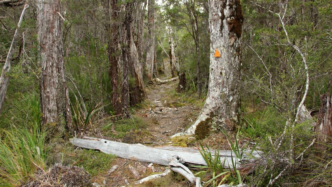 Inland Track