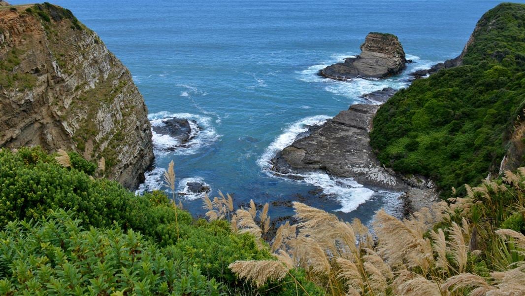 Jacks Blowhole Track, walk in Otago
