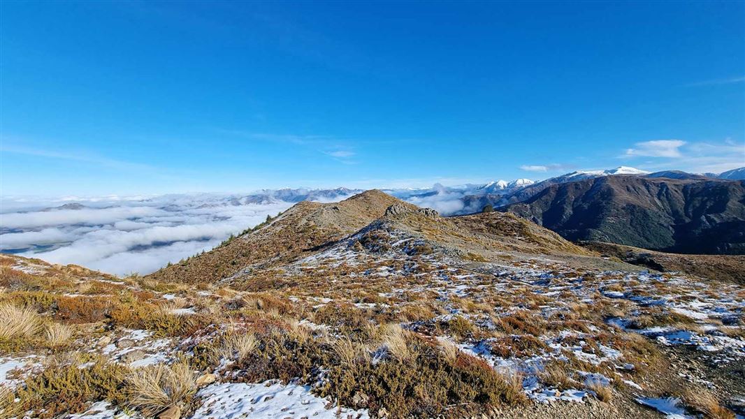 Jacks Pass Track to Mt Isobel