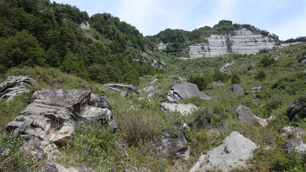 Johnson Creek Track, walk in Tasman