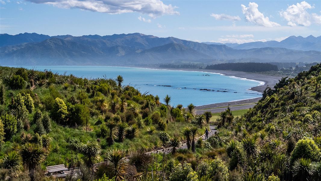 Kaikōura Peninsula Walkway, walk in Canterbury