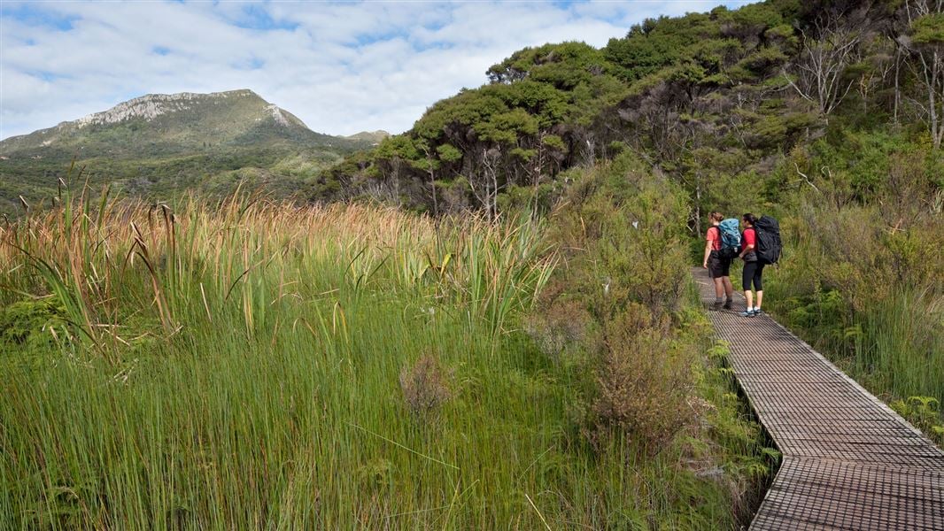 Kaitoke Hot Springs Track