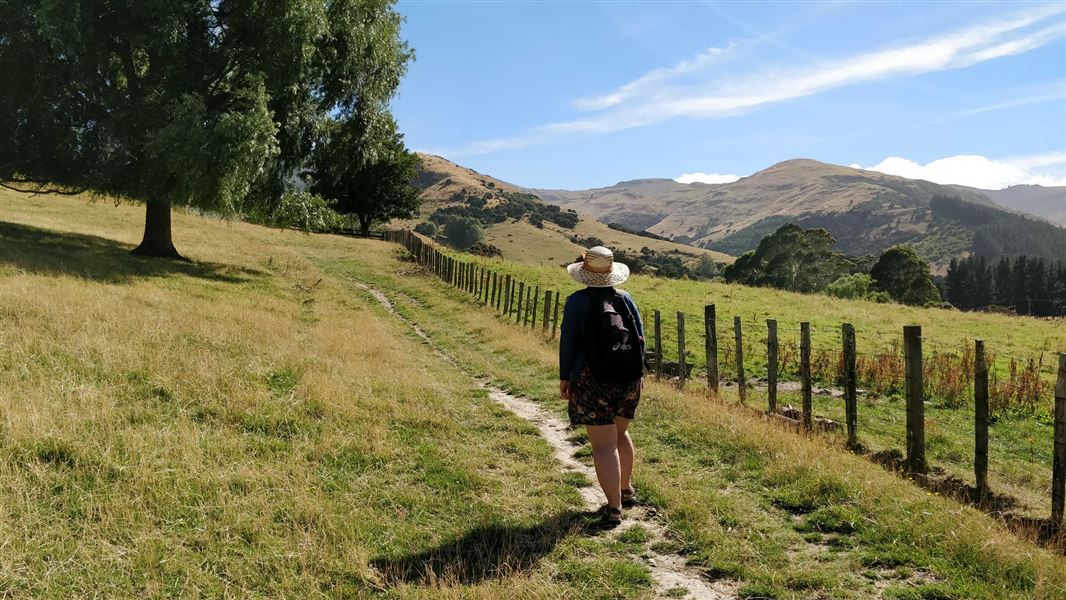 Kaituna Valley Packhorse Hut Track