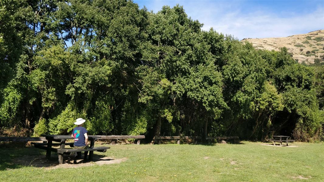 Kaituna Valley Scenic Reserve walk