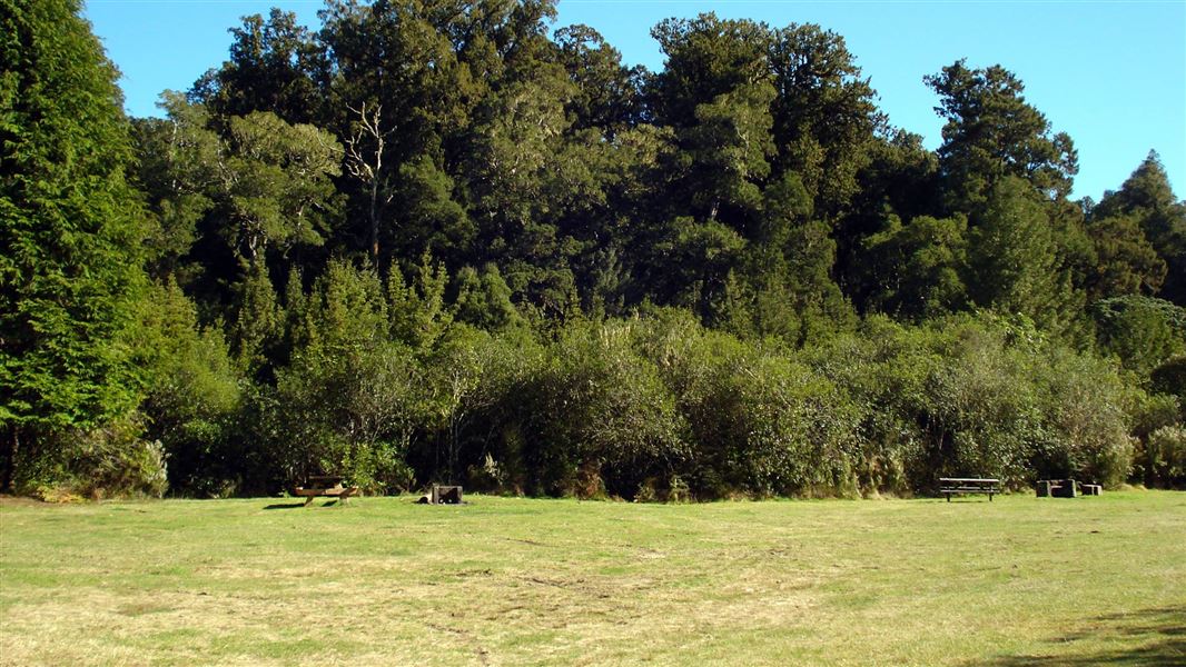Kakaho Campsite, campsite in Waikato
