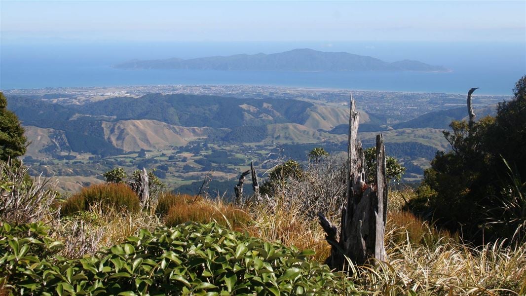 Kapakapanui Track