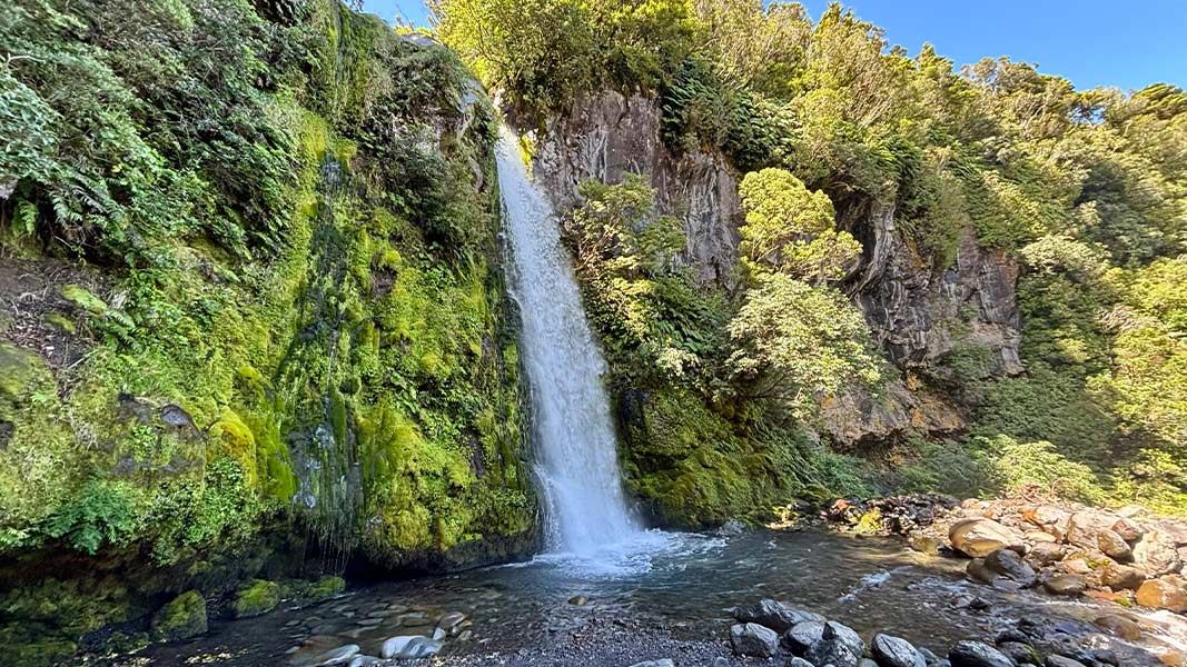 Kapuni Loop Track, walk in Taranaki