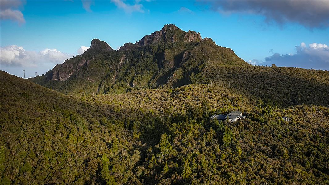 Kauaeranga Kauri Trail (Pinnacles Walk)