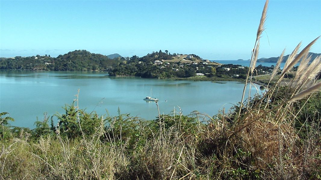 Kauri Block Track