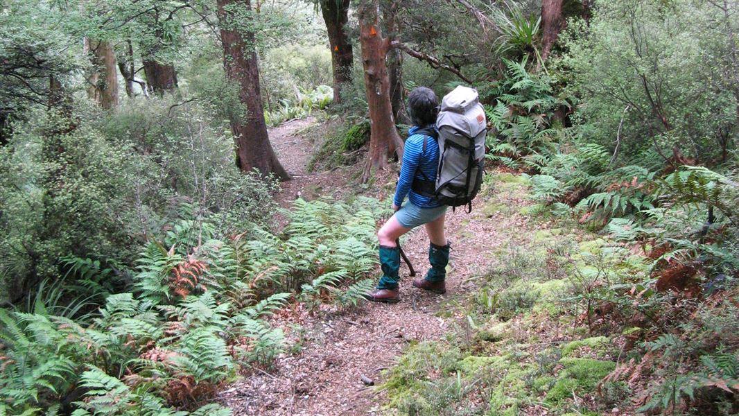 Kelly Knight Hut Track