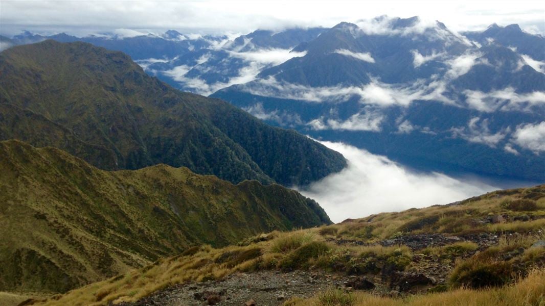 Kepler Track: Carpark to Luxmore Hut