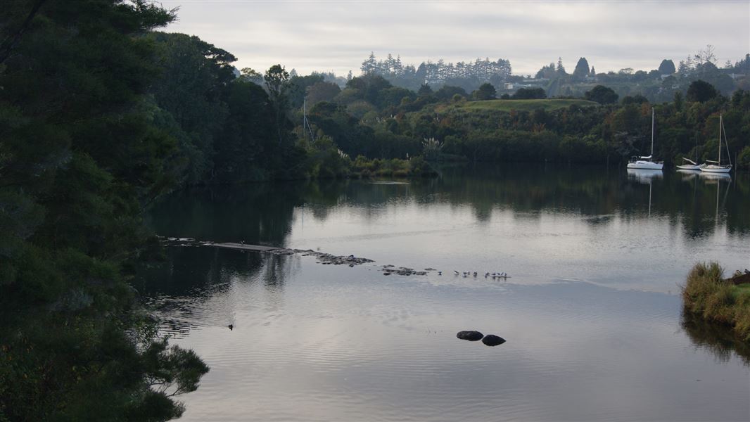 Kerikeri River Track
