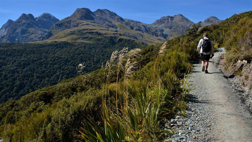 Routeburn Track: Key Summit Track, walk in Southland