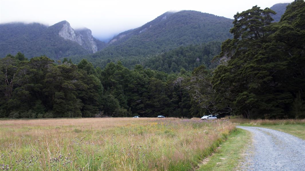 Kiosk Creek Campsite, campsite in Southland