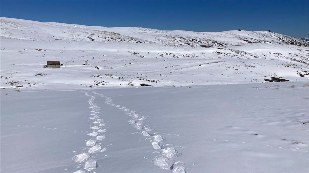 Kirtle Burn Track