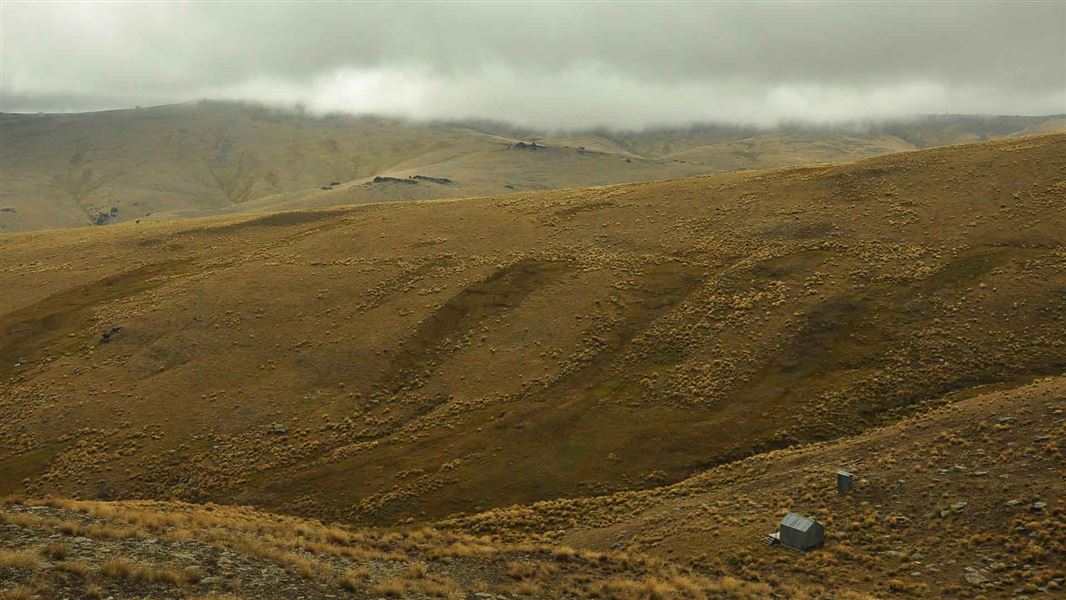 Kopuwai Track to Sisters Track
