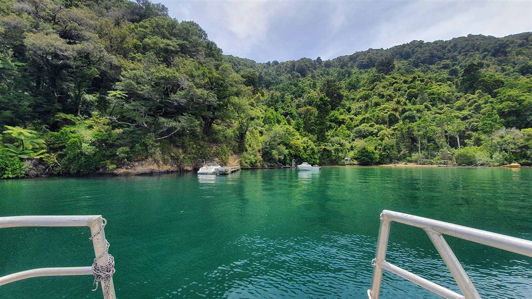 Kumutoto Bay Campsite, campsite in Marlborough