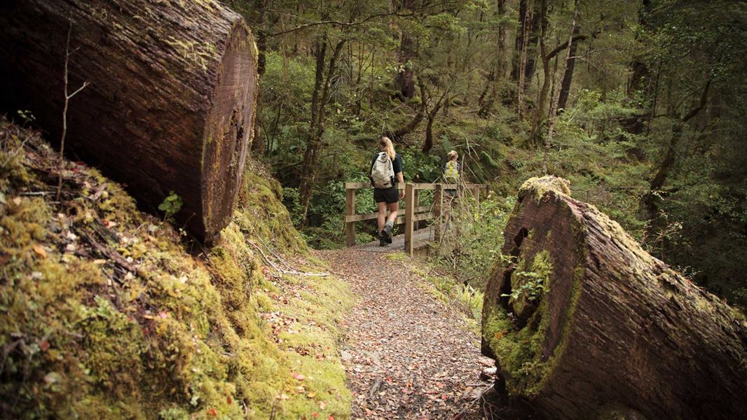 Lake Daniell Track