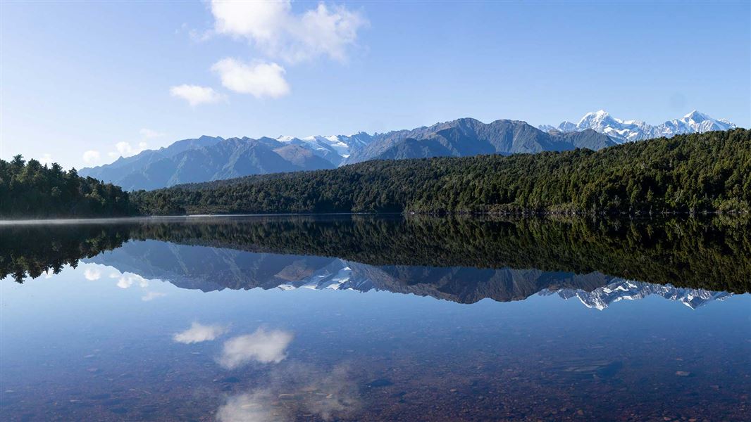 Lake Gault Track