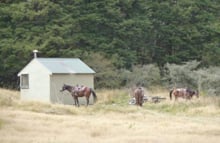 Lake Guyon Hut, hut in Canterbury