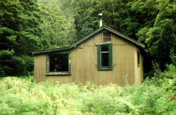 Lake Hankinson Hut, hut in Southland