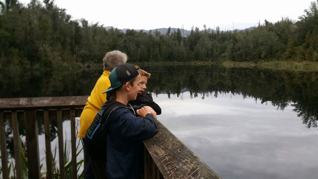 Lake Hanlon Track, walk in West Coast