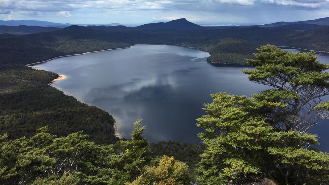 Lake Hauroko Lookout Track