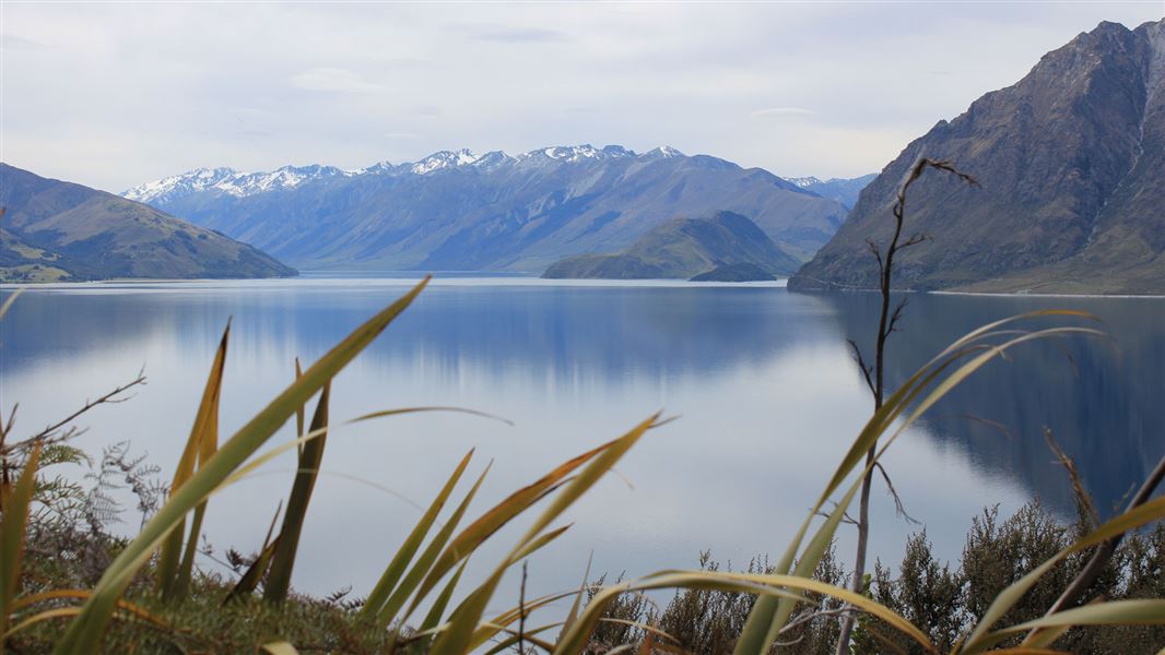 Lake Hāwea Track