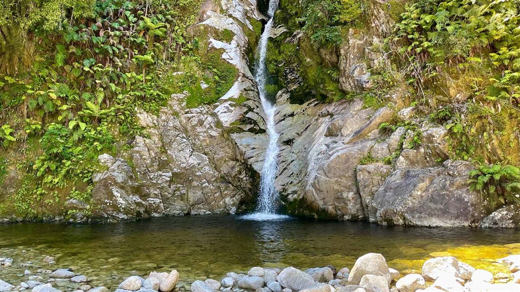 Lake Kaniere short walks