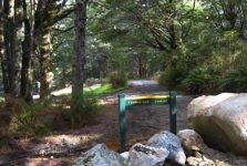 Lake Monowai Peninsula Lookout Track