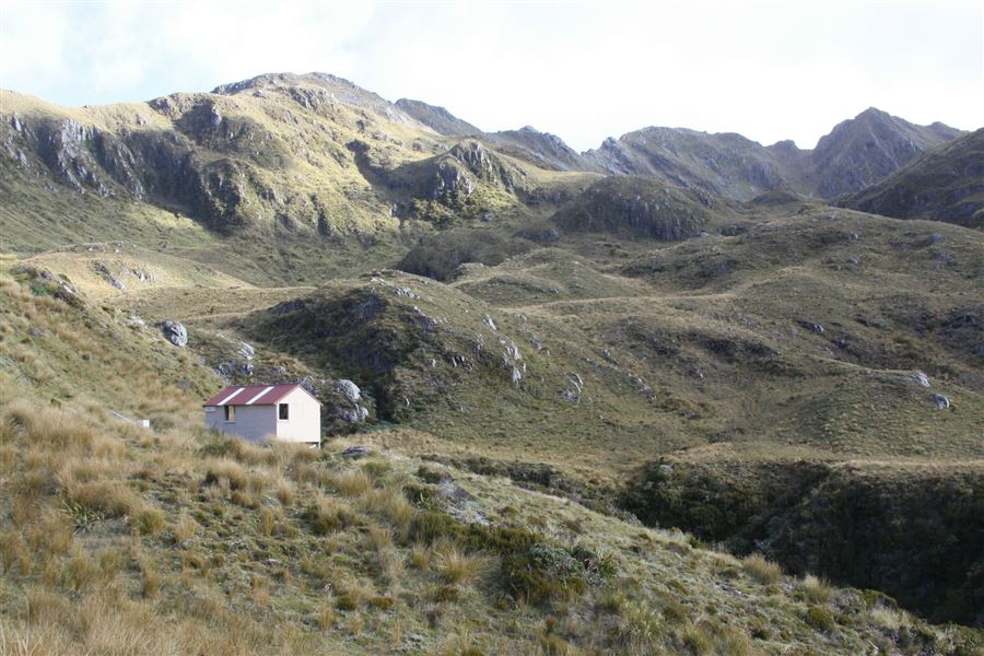 Lake Morgan Hut, hut in West Coast