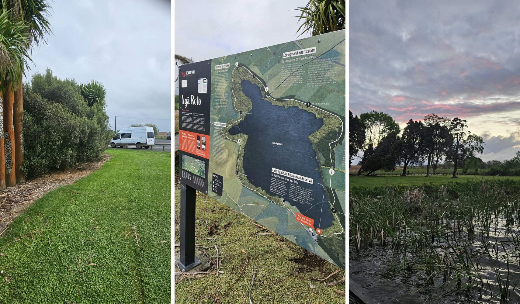 Lake Ngāroto, campsite in Waikato