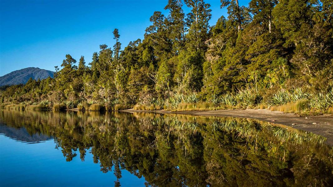 Lake Paringa Campsite, campsite in West Coast