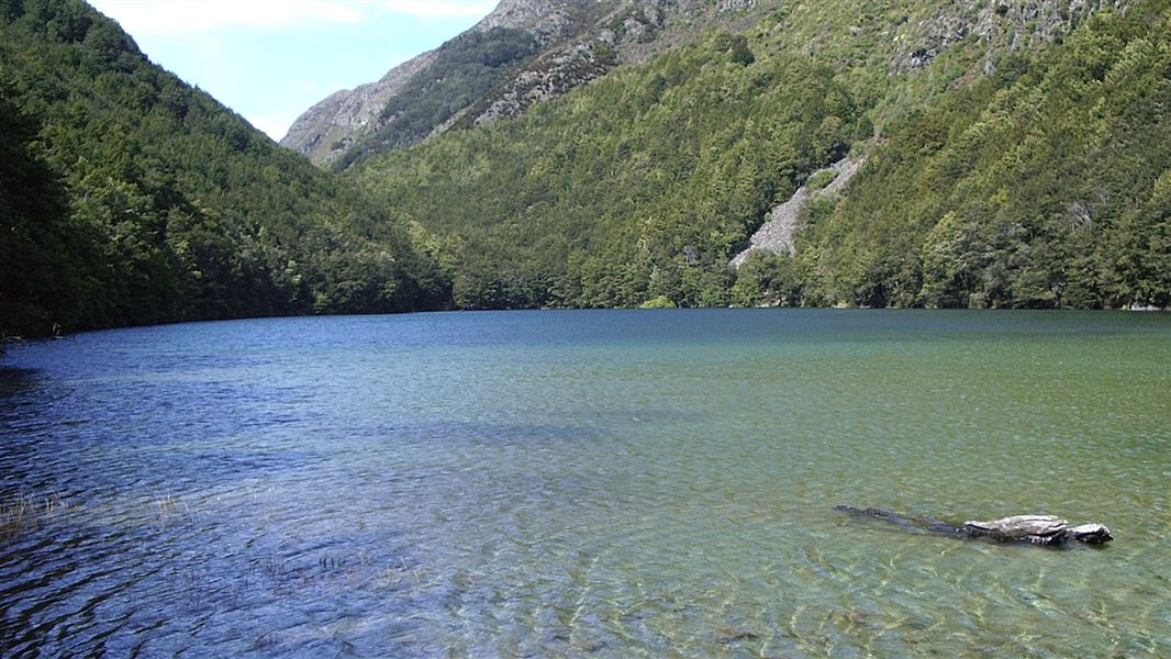 Lake Rere Walk