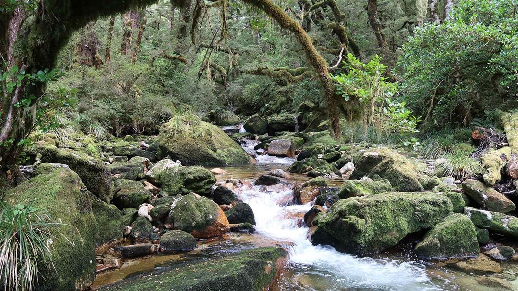 Lake Stream Route