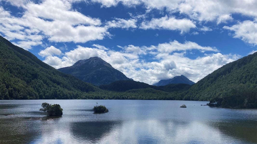 Lake Sylvan Track