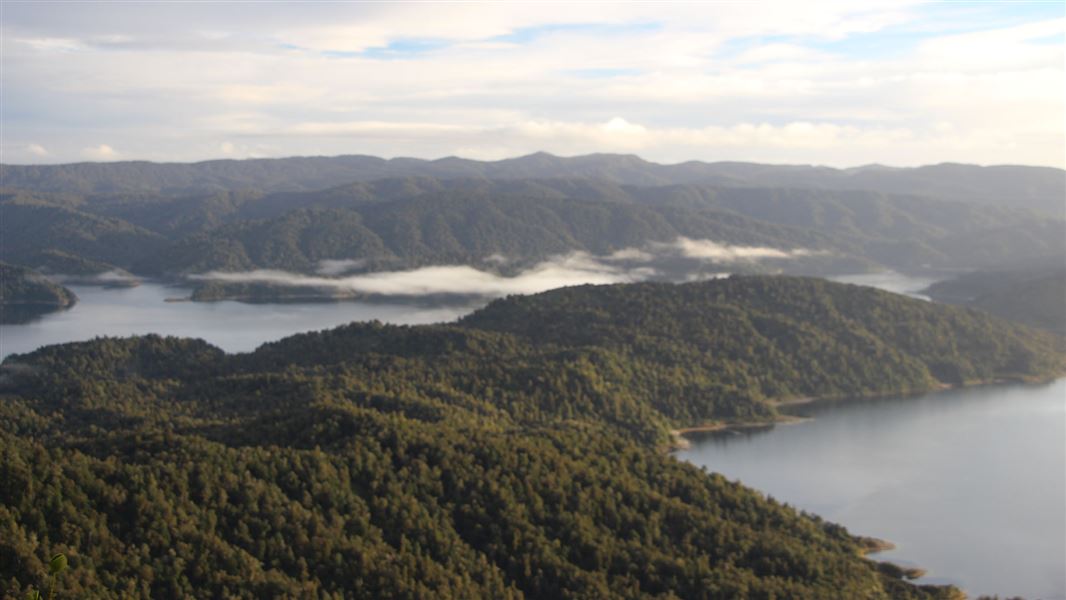 Lake Waikaremoana Track